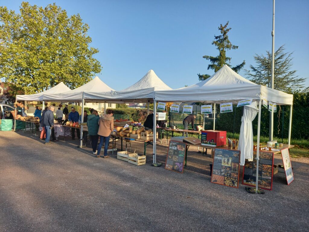 fete des courges marsannay