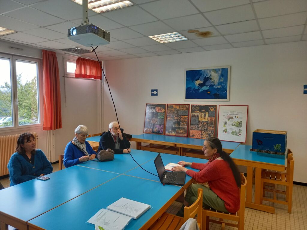 seance initiation abeille