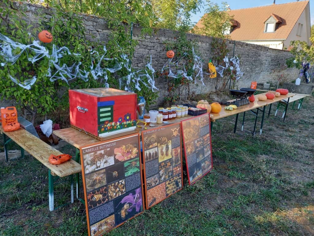 marsannay colnet daev courge